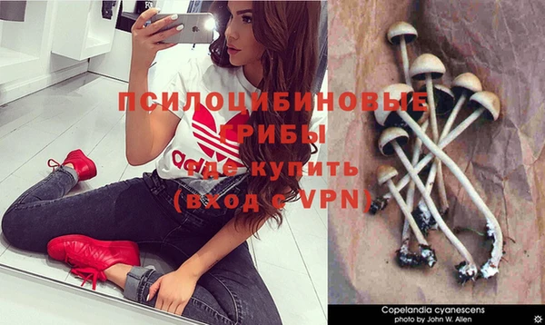 эйфоретик Медногорск