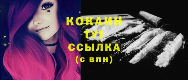 спиды Магас