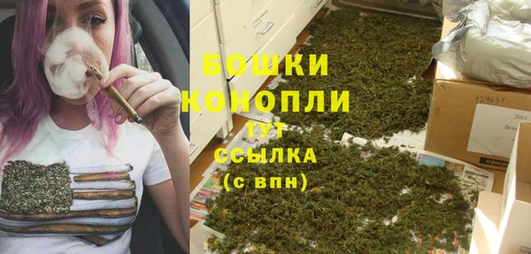 Альфа ПВП Мегион