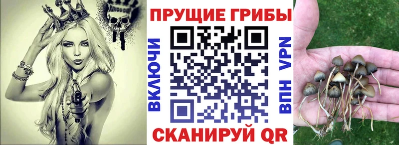 Псилоцибиновые грибы прущие грибы  Купить  Томск 