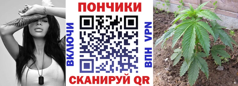 Канабис SATIVA & INDICA  Купить где  Томск 